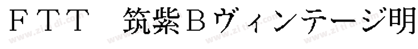 FTT 筑紫Bヴィンテージ明S R字体转换